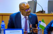 93% of Nigerian Inmates Are State Offenders, Many Don't Need Jail