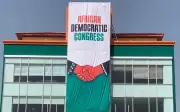 ADC: Appeal Court Judgment on Congresses Won't Affect 2027 Direct Primaries