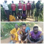 Army, NDLEA Arrest Three Drug Suppliers Linked to Terrorists in Katsina