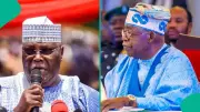 Atiku Backs APC Senator Monguno, Raises New Allegations Against Tinubu