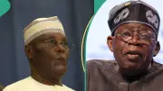 Atiku rejects Tinubu's ICPC probe of PFIPC scandal, demands independent panel