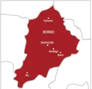Boko Haram abducts pastor’s wife and 3 children in Borno