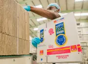 BUA Foods Proposes N504bn Dividend for 2025 Financial Year