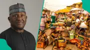 BUA Promises Cheaper Food, Set to Become Nigeria's Biggest Food Company