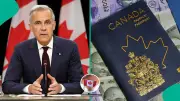 Canada Lists Visa Scam Warning Signs Nigerians Must Never Ignore