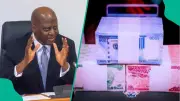 CBN Approved Printing 5.71bn Banknotes in 2025 Despite Digital Payments Rise