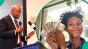 CBN Launches Digital Tracker for Dollar Sales, Tightens BDC Rules
