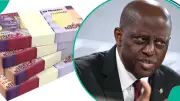 CBN Reaffirms All Old ₦100 Notes Legal Tender, Warns Against Rejection