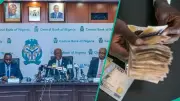 CBN Reports Drop in Maximum Lending Rate to 33.16% in June 2026