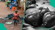 Cholera Outbreak Kills 9 ISWAP Terrorists in Borno State