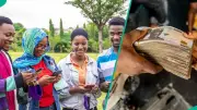 CREDICORP C.L.I.C.K.D. N1m Loan: Apply for Laptops, Phones