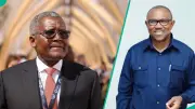 Dangote Group Dismisses Viral Peter Obi Endorsement Claim as Fake News