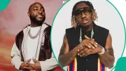 Davido Reacts as Zlatan Distances from City Boy Movement at MAPOLY Concert