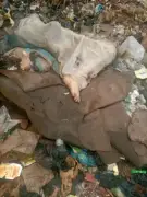 Decapitated Woman's Decomposing Body Found at Dump Site in Plateau Community