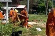 Eight Buddhist monks killed, 13 injured in Thailand truck crash