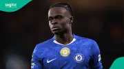 Everton Complete £24m Deal to Sign Super Eagles-Eligible Star Tyrique George from Chelsea
