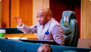 Ex-aide deletes posts accusing deputy speaker's team of fake Facebook accounts