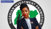 Ex-McKinsey Partner Eyitope Kola-Oyeneyin Appointed NIPC Chair