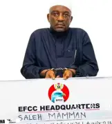 Ex-Power Minister loses more assets to FG, court orders forfeiture