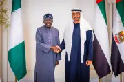 Fact Check: Nigeria's Debt, UAE's Wealth Figures Misleading