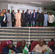 Fani-Kayode Condemns Murder of Nigerian in South Africa, Warns of Consequences