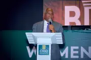 Fashola: Lagos Discounted Land for Dangote Refinery to Secure Investment