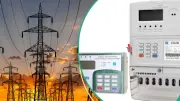 FG to License Renewable Energy Firms to Rival DisCos as 19 States Seek Stable Power
