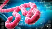 First Human Trial of Bundibugyo Ebola Vaccine Begins at Oxford