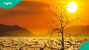 France Records 5,764 Excess Deaths During June 2026 Heat Wave