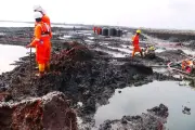 Fresh Scrutiny for Shell Over Leaked Niger Delta Documents