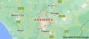 Gunmen Kill Four Herders in Anambra Settlement, Slaughter Cattle