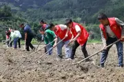 How China's Communist Party Attracts Young Members Through Grassroots Change
