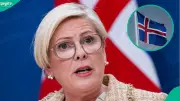 Iceland Sets Six Conditions for Foreign Citizenship Applicants