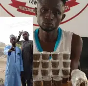 Kano Court Jails Man 7 Years for Advertising Cannabis on Social Media