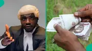 Lawyer Shares Legal Steps to Recover Money from Debtors, Video Trends