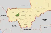 Mali insurgents attack five locations, kill 20 terrorists, suffer losses