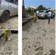 Motorist Challenges Poultry Owner After Chicken Dies in Car Accident
