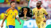 Mysterious Cat Predicts Colombia vs Ghana World Cup Match