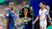 Mysterious Cat Predicts France vs England 2026 World Cup Third-Place Match