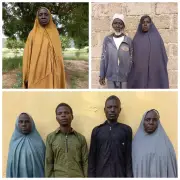 N1.5m recovered as six Boko Haram members surrender in Borno