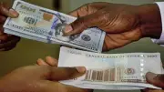 Naira Holds Steady at ₦1,374.18/$ Official Rate Amid Narrowing Premium