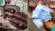 Naira Ranks Second Best in Africa in H1 2026, Gains 3.36% Against USD