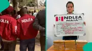 NDLEA Arrests South African Woman Using 3-Year-Old Son to Smuggle Heroin into Abuja