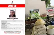 NDLEA declares drug kingpin, 3 associates wanted, blocks N9.8 billion