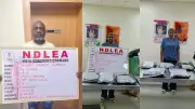 NDLEA Seizes N10 Billion Drugs, Arrests Cocaine Kingpin in Lagos