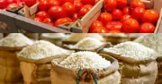 Nigeria Faces Rice, Tomato Shortage in 3 Months: OTACCWA Warns of Food Crisis