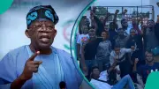 Nigeria Power Force: Apply for Tinubu's 5,000 Youth Jobs in Electricity