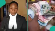 Nigerian Lawyer Dispels Loan App Travel Ban Fears for Debtors
