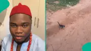 Nigerian Man Takes Home Stray Cat That Refused to Stop Following Him