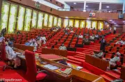 Nigerian Senators Express Concerns Over Lafarge Sale to Chinese Firm
